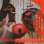 Negar_۲۰۲۱۰۶۲۸_۲۳۴۷۱۸.png