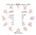 Screenshot_۲۰۲۱۰۷۰۵-۱۰۳۲۴۹_Instagram.jpg