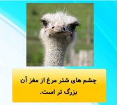 Screenshot_۲۰۲۱۰۷۰۵-۱۰۵۳۰۵_Instagram.jpg