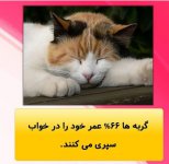 Screenshot_۲۰۲۱۰۷۰۷-۱۶۵۳۴۶_Instagram.jpg
