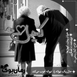Negar_۲۰۲۲۱۰۲۷_۱۶۴۵۱۲.png