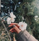 nody-عکس-پروفایل-شیک-جدید-بدون-متن-1626676047.jpg