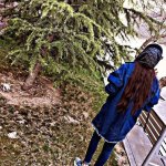 IMG_20221103_114437_203.jpg
