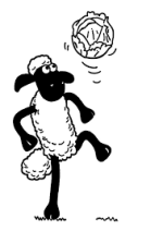 images (16).png
