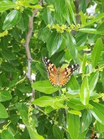 IMG_20221106_230618_642.jpg