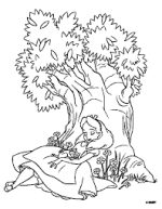 images (36).png