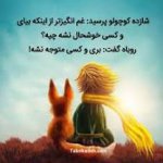 بارگیری - 2022-11-12T152614.511.jpeg