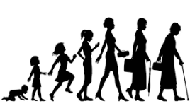 images (20).png