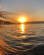 IMG_20221113_162635_378.jpg