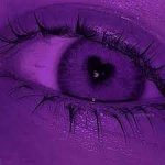 298f3f1957017cb7ce66130454f5de0b.jpg