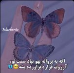 1630673519990.jpg