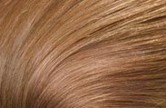 loreal-hair-color-caramel.jpeg loreal-hair-color-caramel.jpeg