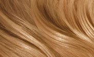 clairol-hair-color-chart-honey.jpeg