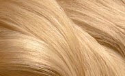 clairol-hair-color-chart-light-blonde.jpeg