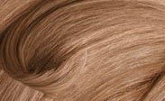 clairol-hair-color-chart-champagne.jpeg