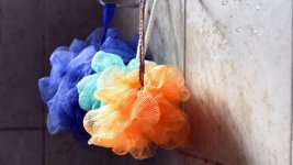 best-loofahs-696x392.jpg
