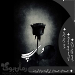 Negar_۲۰۲۲۱۲۰۵_۲۱۲۵۱۰.png