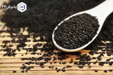 سیاه-دانه-چیست؟-768x510.jpg