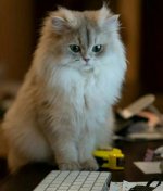 IMG_20221128_113514_519.jpg