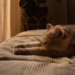 IMG_20221203_145656_519.jpg