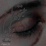 Negar_۲۰۲۲۱۲۱۰_۲۰۱۲۴۱.png