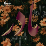 Negar_۲۰۲۲۱۲۱۰_۱۹۵۵۱۱.png