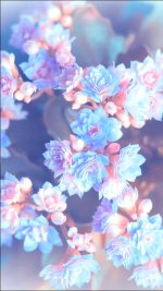 Screenshot_20221214-114030.jpg