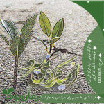 Negar_۲۰۲۲۱۲۱۶_۱۵۵۹۱۹.png