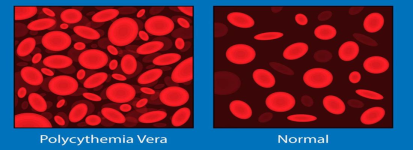 1671403389687.png 1671403389687.png