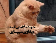 Negar_۲۰۲۲۱۲۲۶_۲۰۱۱۵۸.png