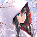 Anime-01.jpg