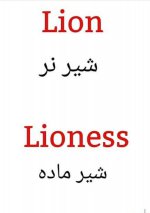 IMG_۲۰۲۱۰۷۲۱_۱۱۴۵۱۹.jpg