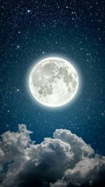 full_moon-photo-for-profile-1.jpg