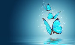 nody-عکس-پروانه-برای-پروفایل-1621995321.jpg