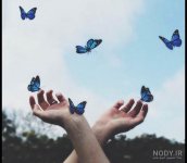 nody-عکس-پروانه-طلایی-برای-پروفایل-1626259057.jpg