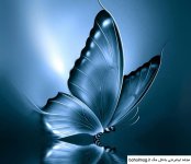 عکس-پروفایل-شیک-پروانه.jpg