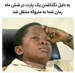 Negar_۲۰۲۳۰۱۱۱_۱۵۳۲۳۷.png