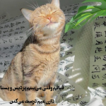 Negar_۲۰۲۳۰۱۱۱_۱۵۵۳۲۴.png