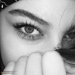 1634481068_D8mN6.jpg