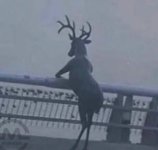 IMG_۲۰۲۳۰۱۱۰_۱۴۴۶۱۷.jpg