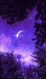 بک-گراند-بنفش-33.jpg