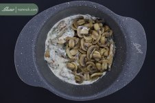 افزودن-قارچ.jpg
