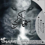 Negar_۲۰۲۳۰۲۰۵_۱۹۴۴۱۰.png