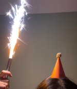 23937eb4c6bfbe7fa80ac7303bcfe0df.jpg