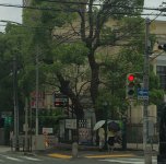 IMG_20230217_104307_016.jpg
