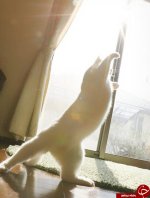 4561952_196.jpg