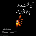 quote_1678026841730.png