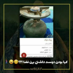 1678188560877.png