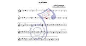 نت-سلطان-قلب-ها.jpg