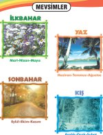 mevsimler.jpg